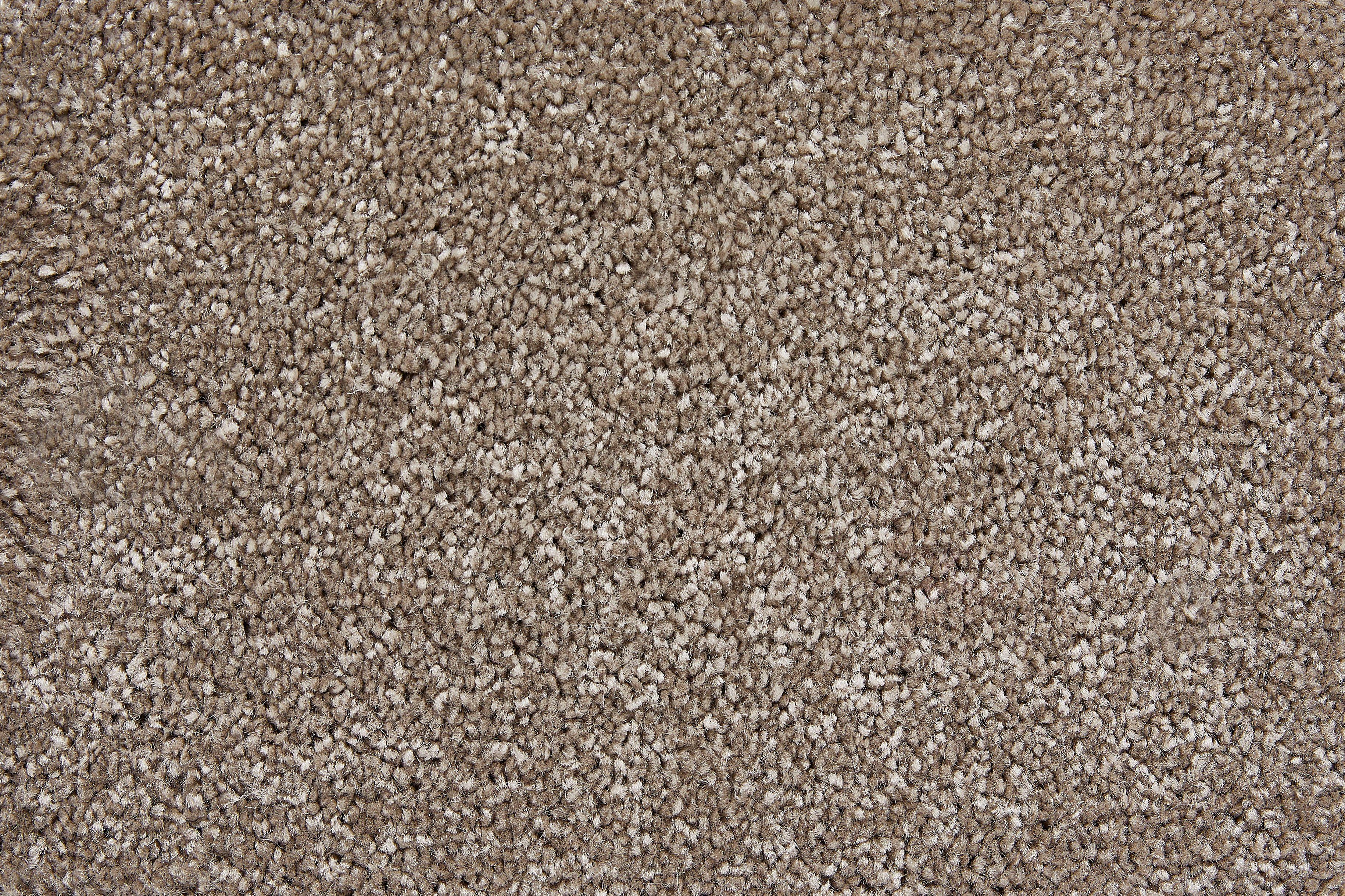 Teppichboden Coupon Frisee-Velours Rennes, Andiamo, rechteckig, Höhe: 14 mm, Uni Farben, Breite 400 cm oder 500 cm, strapazierfähig, pflegeleicht schlamm