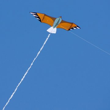 CiM Flug-Drache Eagle, 196x113cm mit Fransenschwanz in Drachentasche