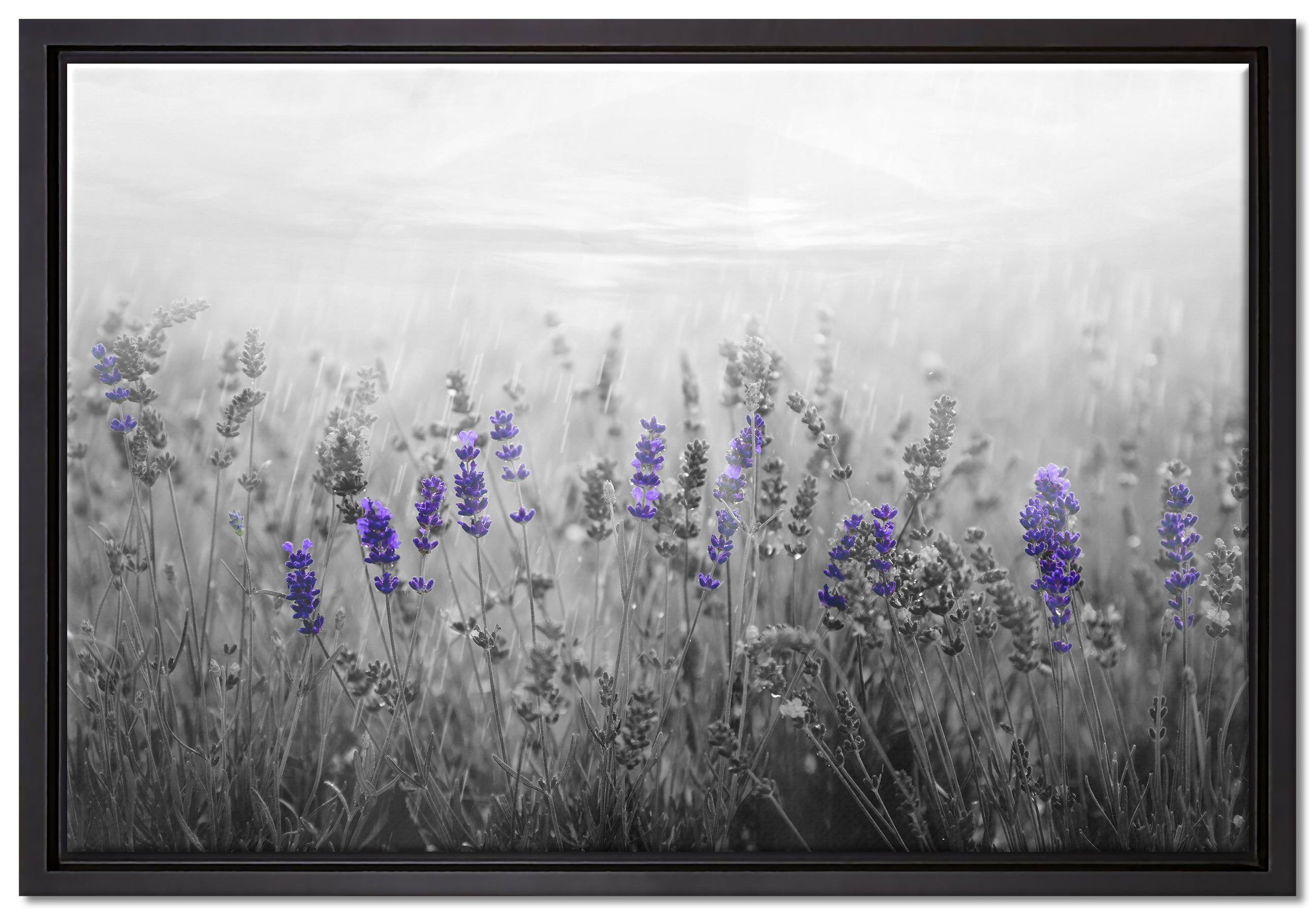 Pixxprint Leinwandbild wunderschönes Lavendelfeld, Wanddekoration (1 St), Leinwandbild fertig bespannt, in einem Schattenfugen-Bilderrahmen gefasst, inkl. Zackenaufhänger