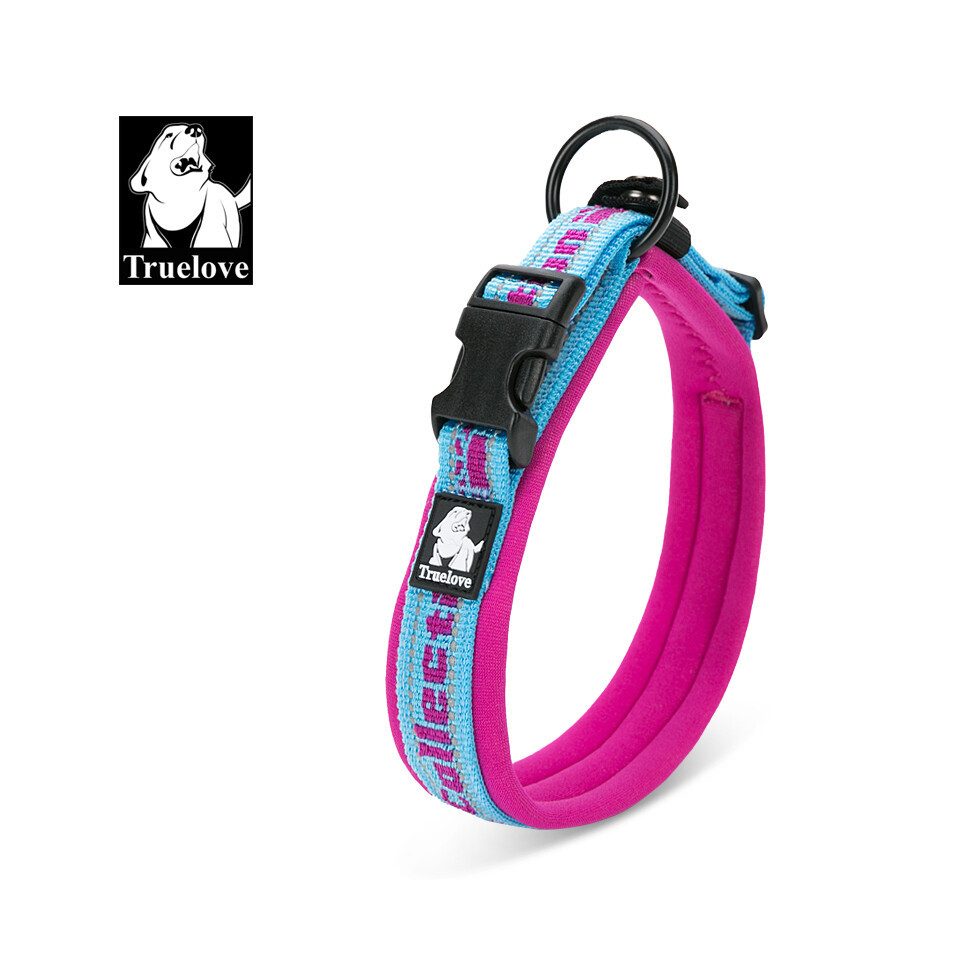 Truelove Hunde-Halsband Nylon Halsband mit Neopren unterlegt blau/pink