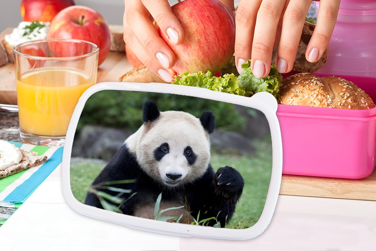 MuchoWow Erwachsene, Lunchbox Brotbox Snackbox, Panda rosa Brotdose Gras für (2-tlg), Großer Kinder, - Mädchen, Steine, - Kunststoff, Kunststoff