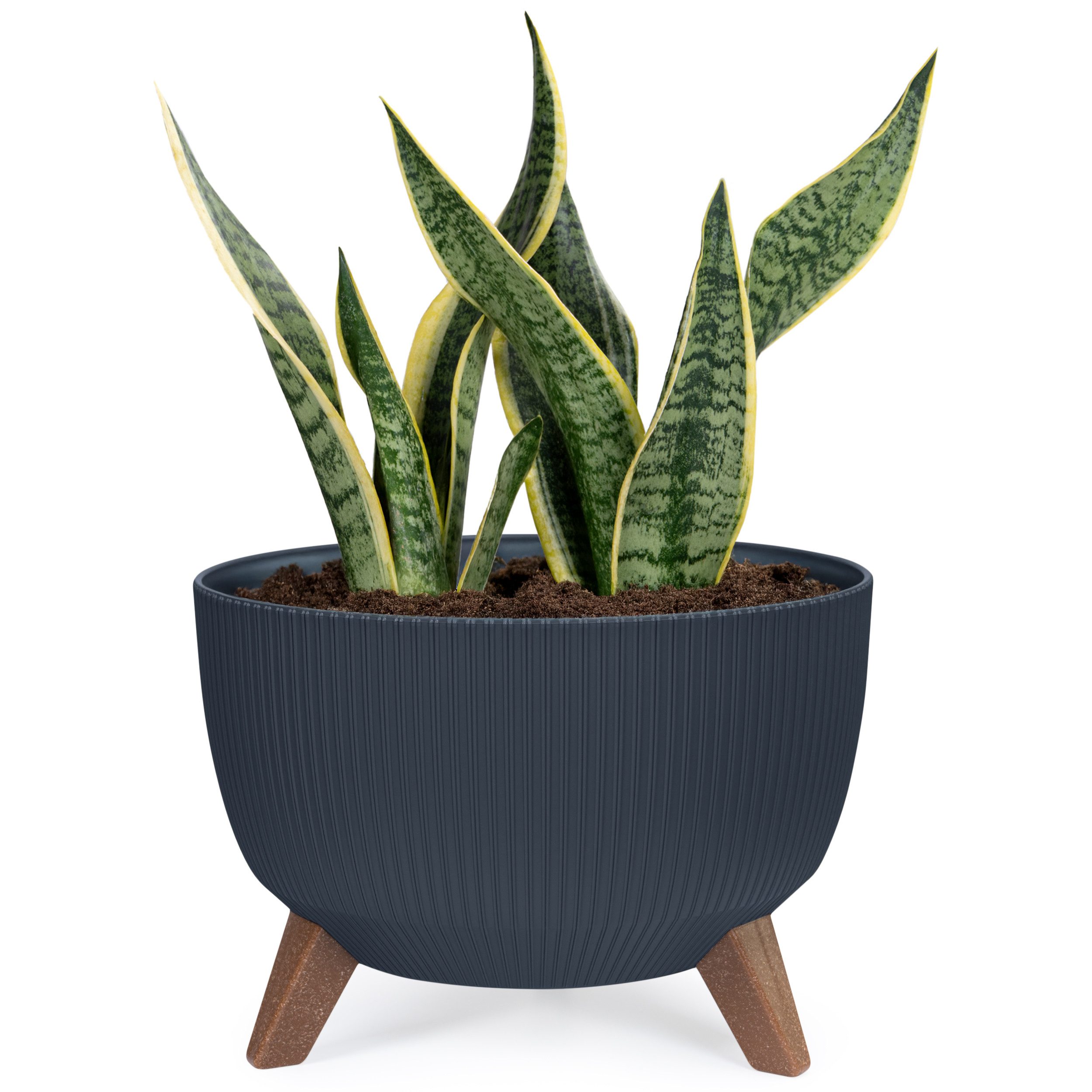 KONZEPT Blumentopf Pflanzenschale mit Füßen 33 günstig online kaufen