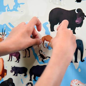 POPPIK Kreativset Sticker Lernposter, Tiere der Welt