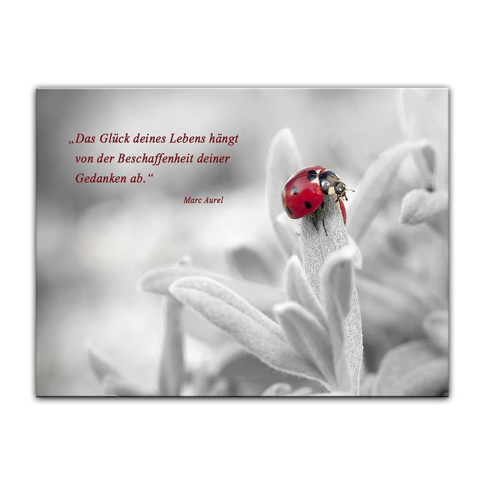 Bilderdepot24 Leinwandbild Leinwandbild mit Zitat Das Glück deines