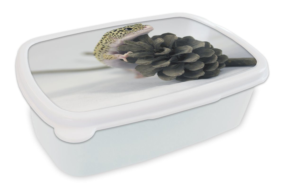 MuchoWow Lunchbox Gecko auf einer Kiefer, Kunststoff, (2-tlg), Brotbox für Kinder und Erwachsene, Brotdose, für Jungs und Mädchen weiß