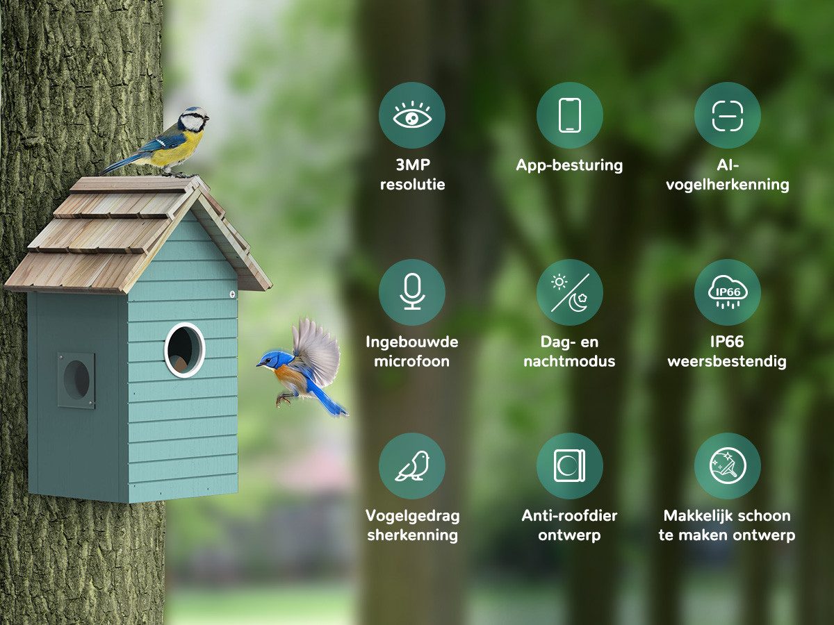 Gotagee Vogelhaus Nistkasten mit Kamera 5 Millionen Pixel Outdoor-Vogelhaus günstig online kaufen
