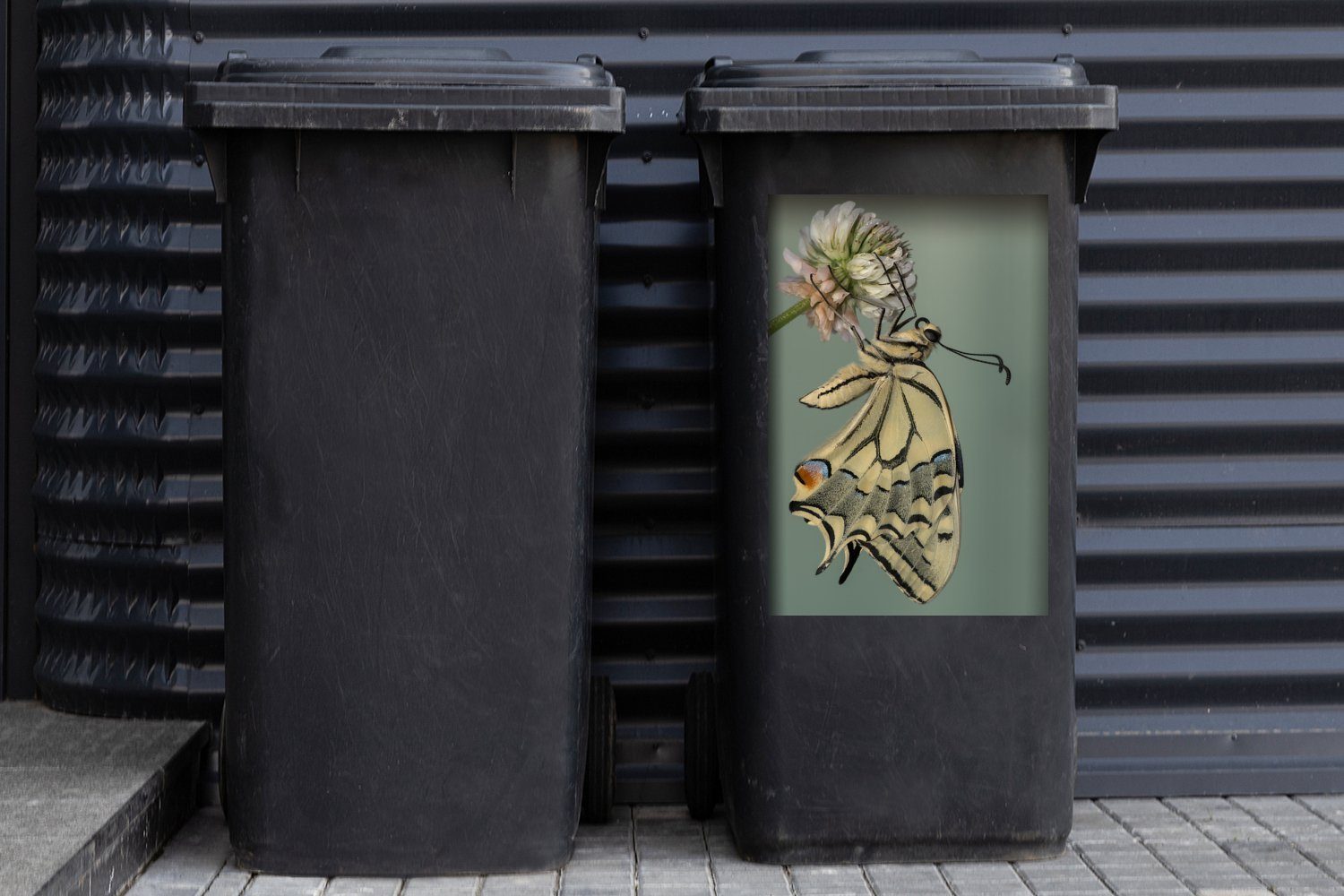 (1 MuchoWow St), Nahaufnahme Wandsticker eines Sticker, Mülltonne, Mülleimer-aufkleber, Container, Schwalbenschwanz-Schmetterlings Abfalbehälter