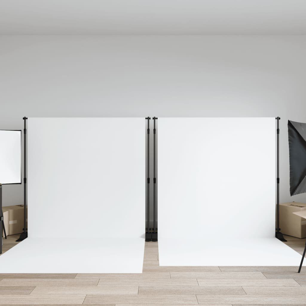 vidaXL Fotohintergrund Hintergrundstative 2 Stk. Schwarz 254x243 cm Stahl