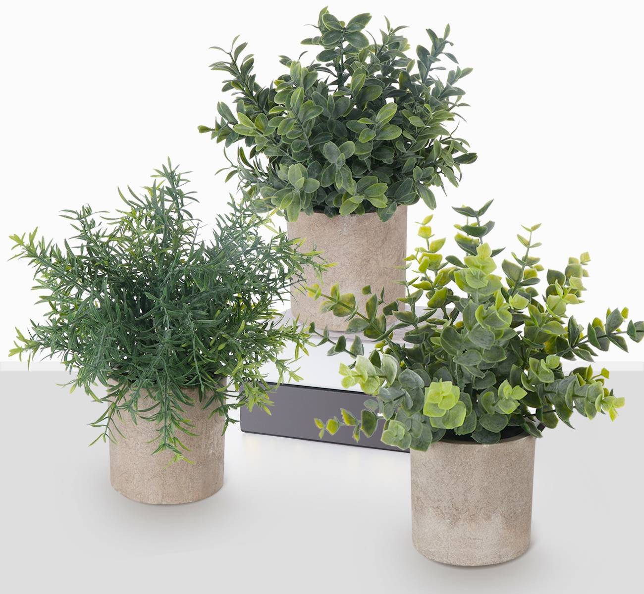 Künstliche Zimmerpflanze Mini Kunstpflanzen im Topf – Künstliche Zimmerpflanzen Deko, ElitVita, Höhe 19 cm, ElitVita Kunstpflanzen 3er Set mit Topf – Mini Deko Pflanzen