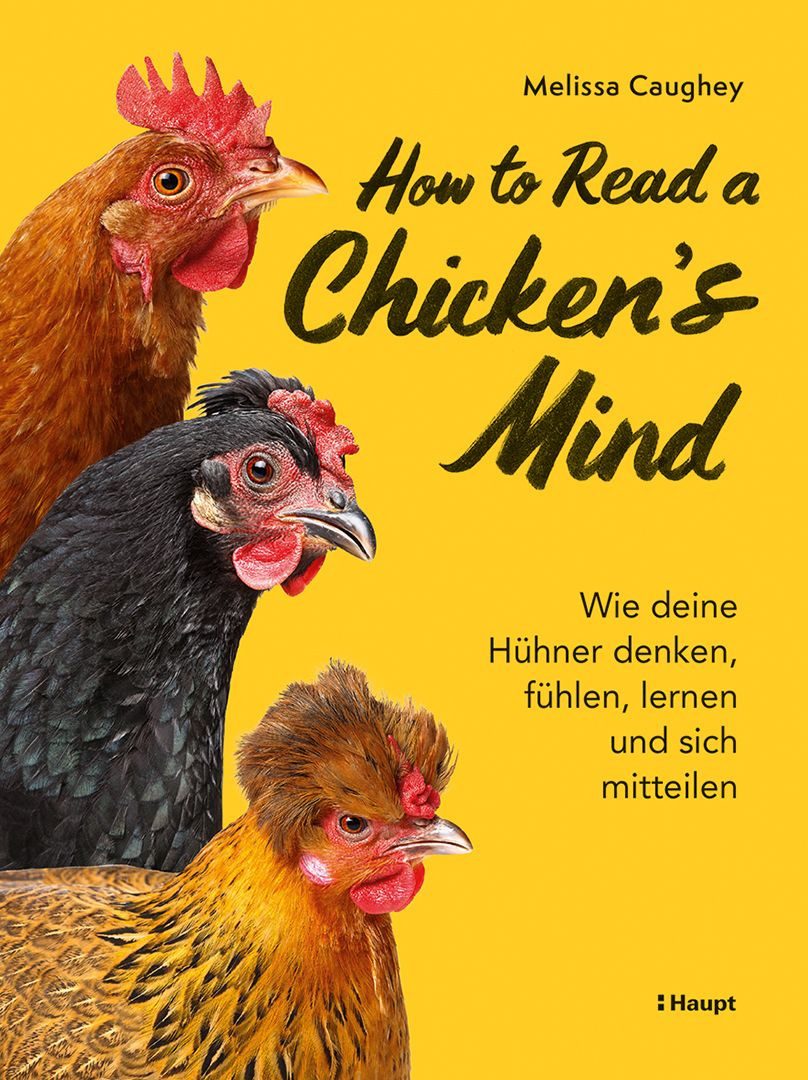 How to Read a Chicken's Mind / Melissa Caughey, Wie deine Hühner denken, fühlen, lernen und sich mitteilen