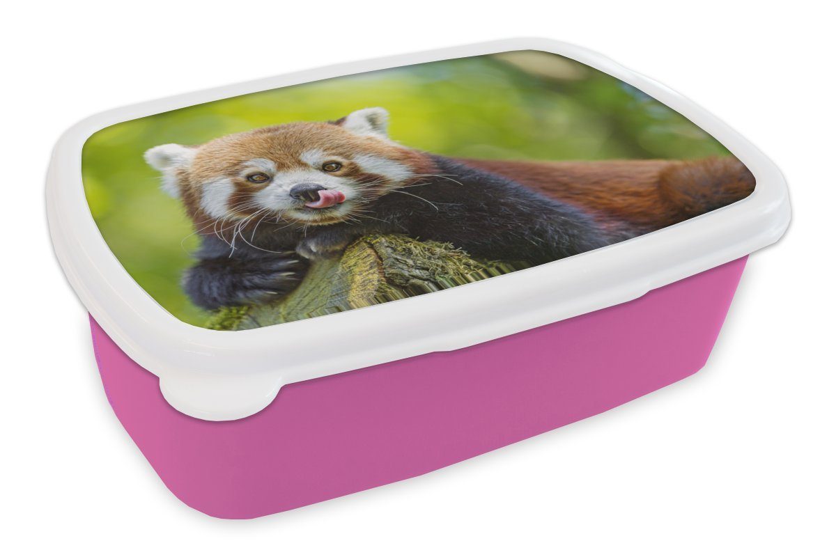 MuchoWow Lunchbox Roter Panda - Natur - Rüssel, Kunststoff, (2-tlg), Brotbox für Erwachsene, Brotdose Kinder, Snackbox, Mädchen, Kunststoff rosa