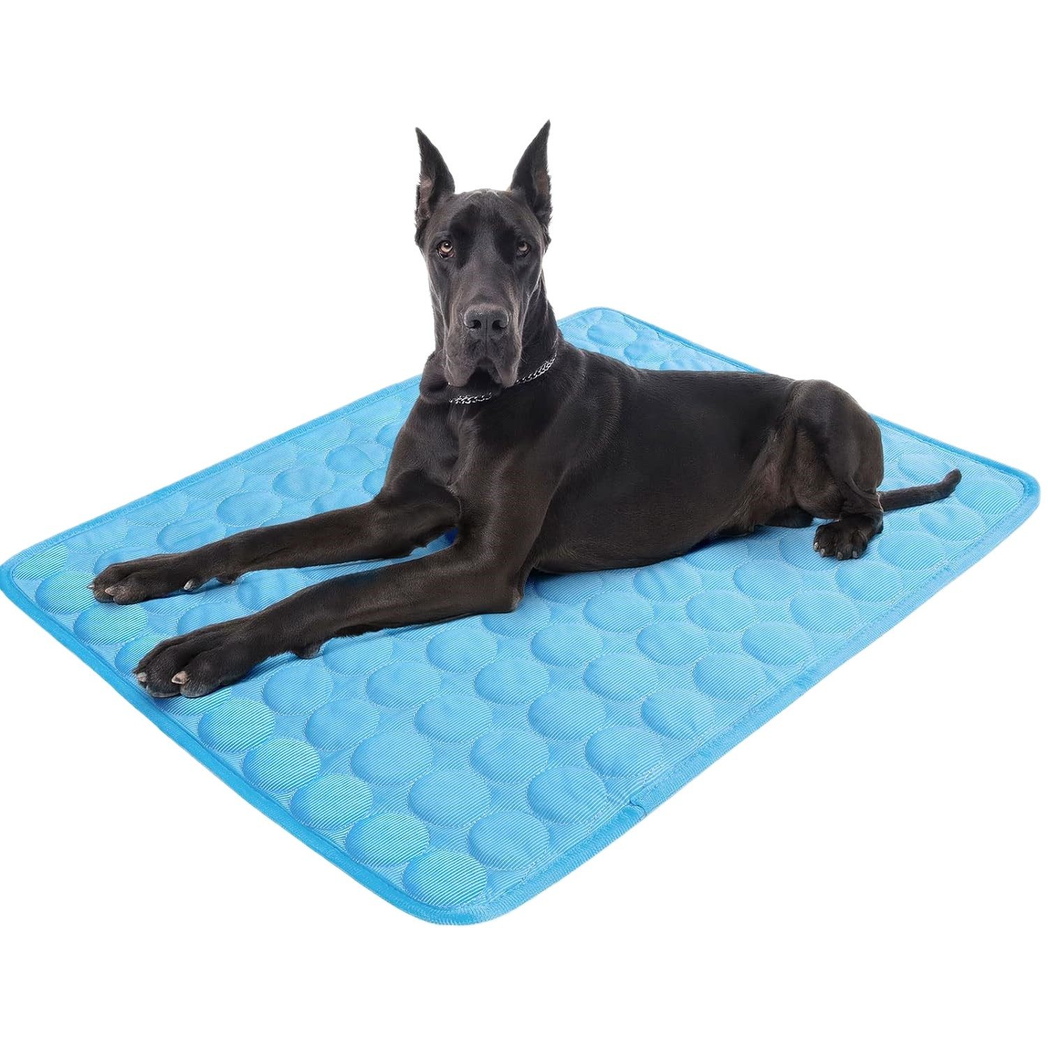Hundematte Kühlmatte Hund blau