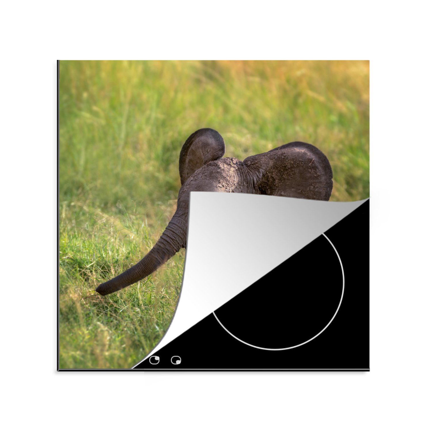 MuchoWow Herdblende-/Abdeckplatte Elefant - Gras - Tiere, Vinyl, (1 tlg), 78x78 cm, Ceranfeldabdeckung, Arbeitsplatte für küche