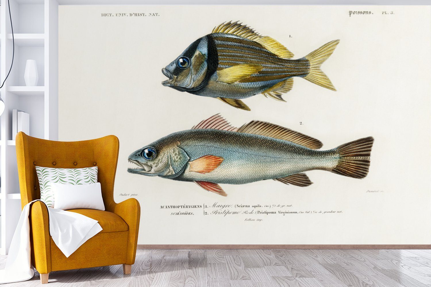 MuchoWow Wandtapete - Vinyl Wohnzimmer, Jahrgang - St), Montagefertig Fisch Matt, bedruckt, Tapete Realismus, Fototapete für (7