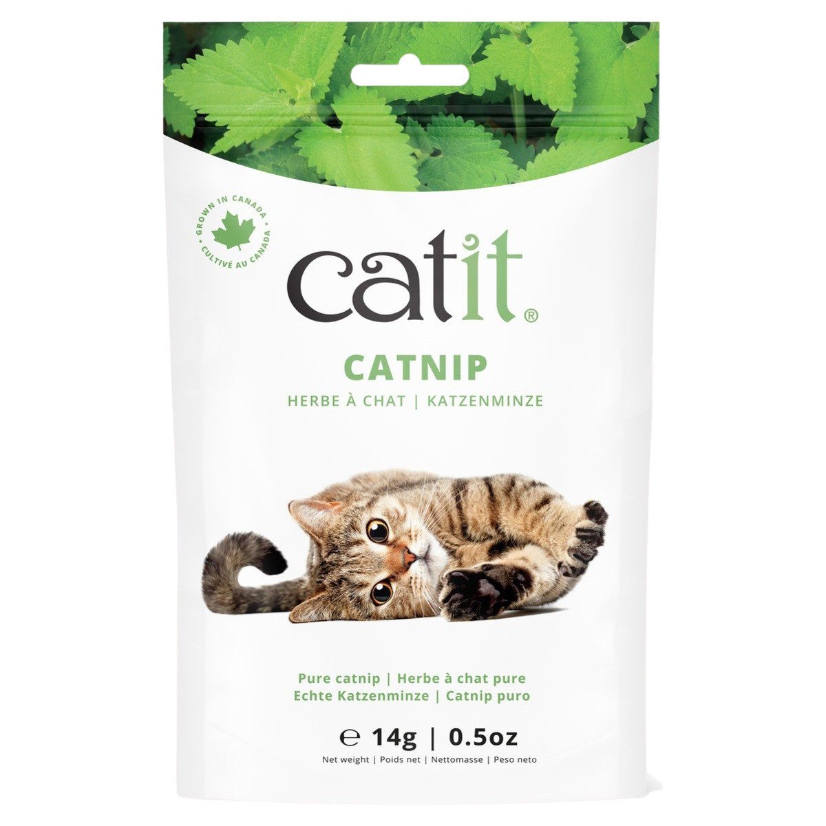 Katzen-Spielspray Katzenminze