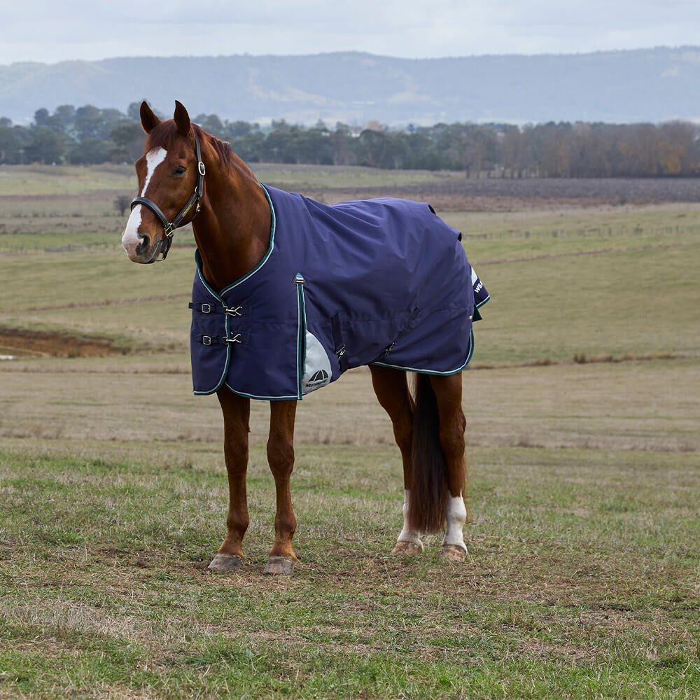 WeatherBeeta Pferde-Thermodecke Weatherbeeta Comfitec Plus Dynamic Turnout 220g