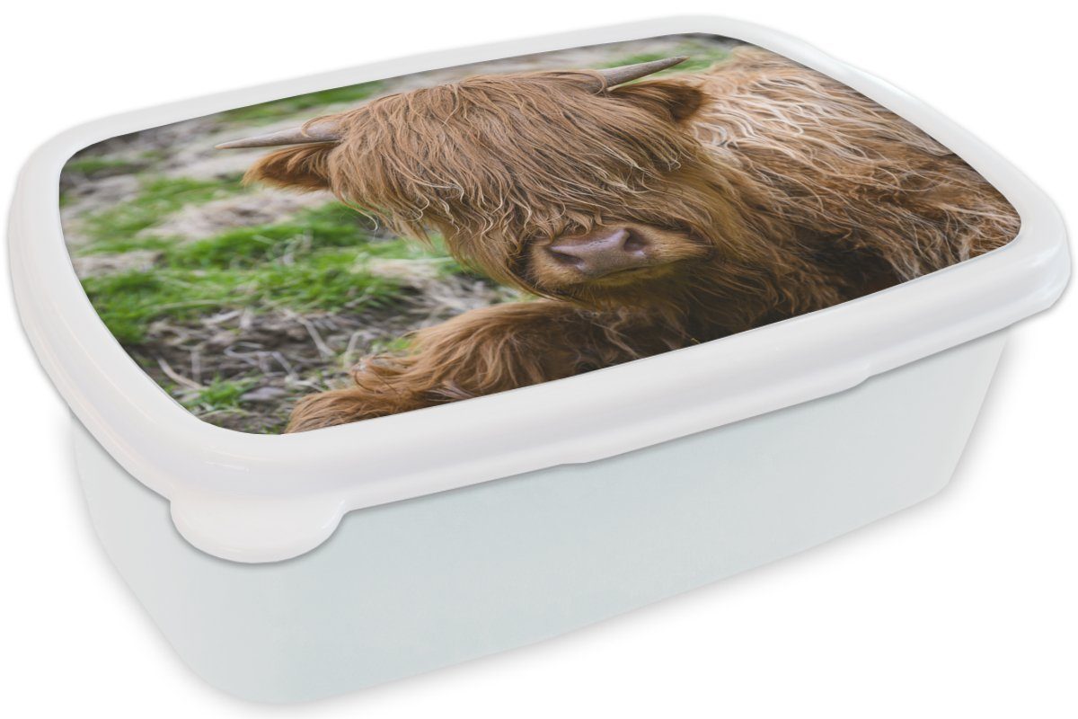 (2-tlg), Gras, Kunststoff, - Brotbox für und - Highlander Schottischer MuchoWow Kinder Mädchen Heu Lunchbox Jungs und Erwachsene, weiß Brotdose, für