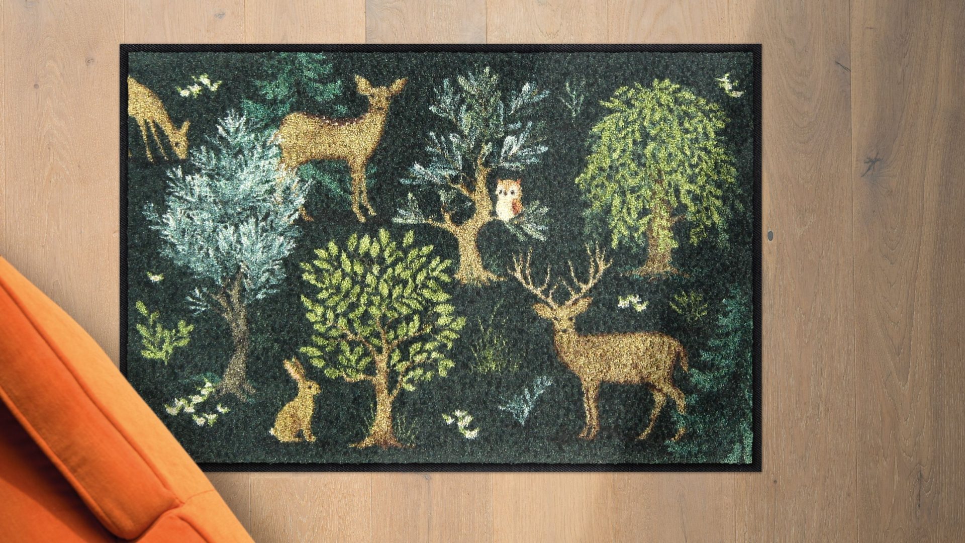 Salonloewe Fußmatte Eingangsmatte 50x75 Forest Moments, Eingangsmatte normal, Höhe: 500 mm – Bild 2 von 5