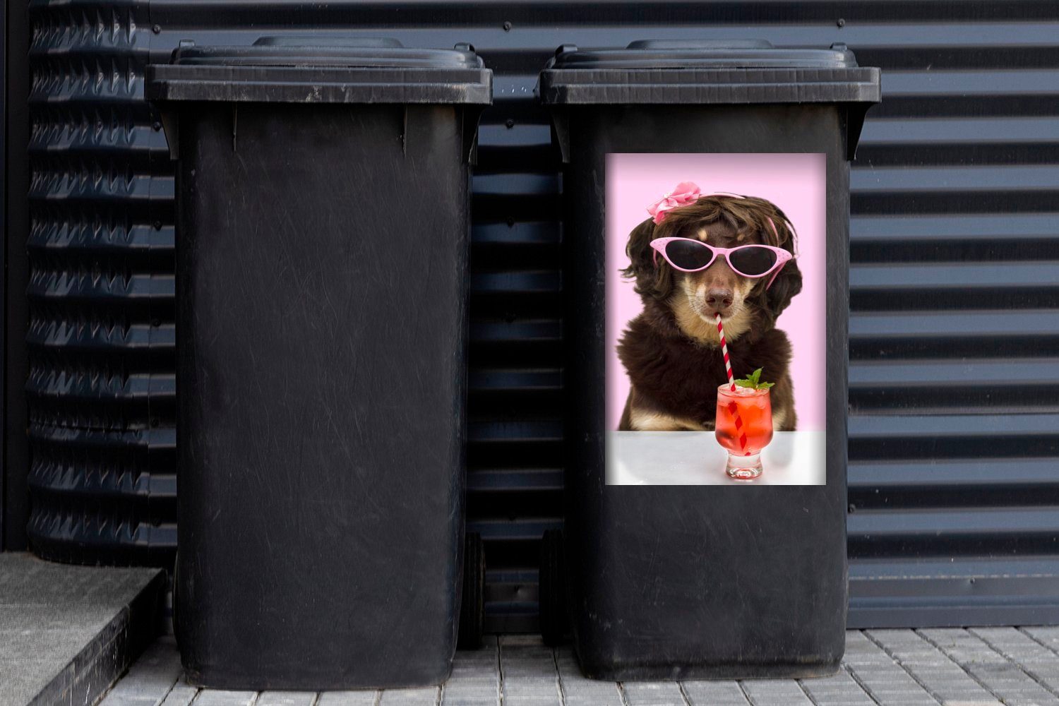 MuchoWow einen St), Kelpie-Hund (1 Wandsticker Mülltonne, Sticker, Container, Mülleimer-aufkleber, Abfalbehälter Cocktail trinkt
