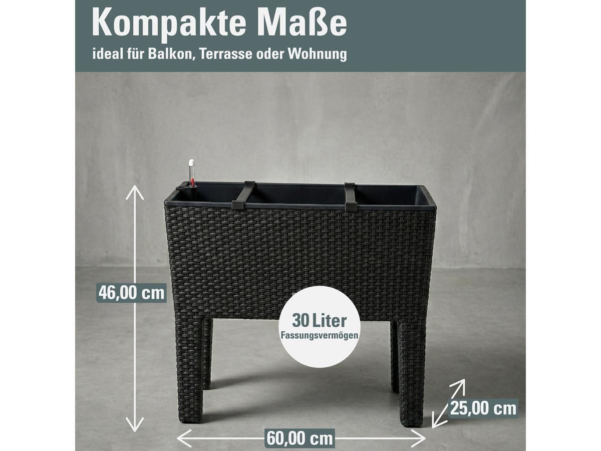 Prosperplast Hochbeet Rato Case High, inkl. Bewässerungssystem, abnehmbare Beine