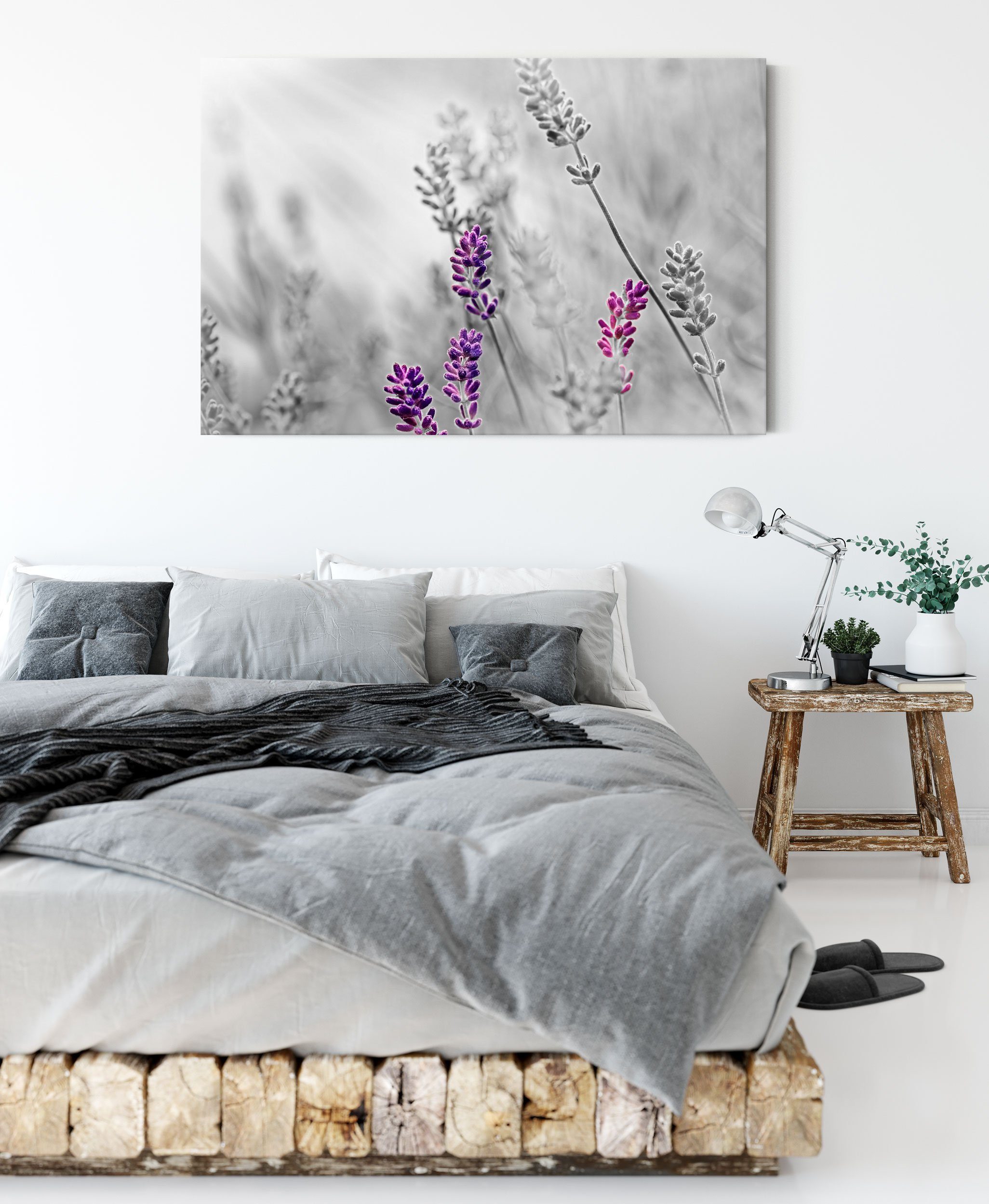 Leinwandbild Leinwandbild Pixxprint schöner schöner inkl. Zackenaufhänger Lavendel (1 Lavendel, St), bespannt, fertig