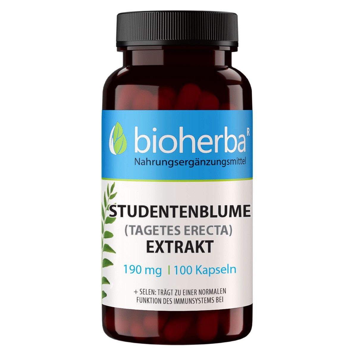 BIOHERBA R Bioherba Studentenblume (Tagetes Erecta) Extrakt 190 mg 100 Kapseln Tropfen, 1 er