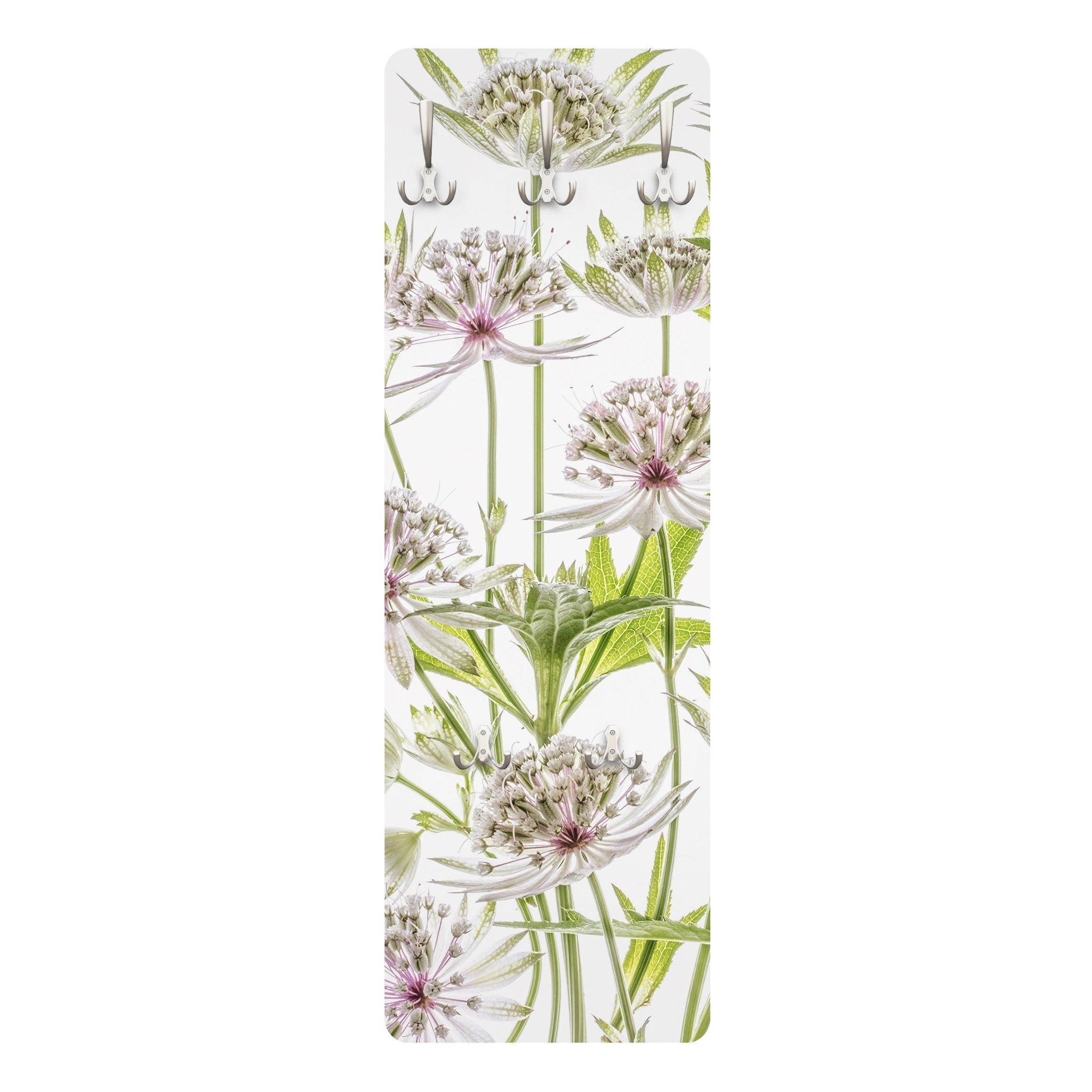 Bilderdepot24 Garderobenpaneel grün Blumen Floral Große Sterndolden Design (ausgefallenes Flur Wandpaneel mit Garderobenhaken Kleiderhaken hängend), moderne Wandgarderobe - Flurgarderobe im schmalen Hakenpaneel Design