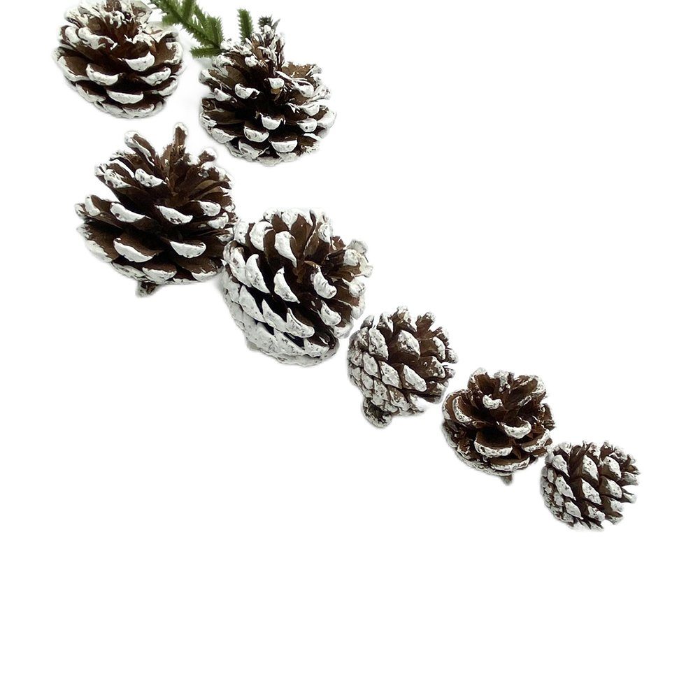 Trockenblume Weihnachtsbaum-Tannenzapfen-Dekoration, Weiß Gefärbte, Blusmart, Trockenblume 6cm