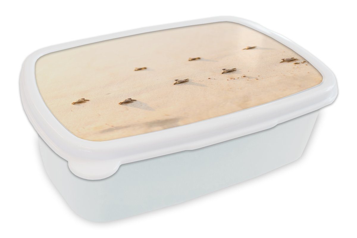 MuchoWow Lunchbox Baby-Schildkröten Fotodruck, Kunststoff, (2-tlg), Brotbox für Kinder und Erwachsene, Brotdose, für Jungs und Mädchen weiß | Lunchboxen
