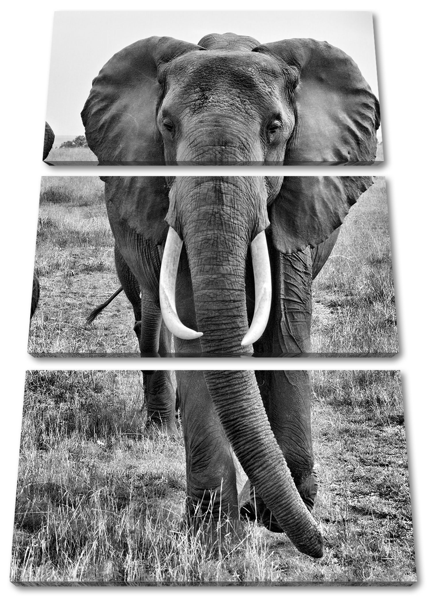 Pixxprint Leinwandbild große wandernde Elefantenhorde, große wandernde Elefantenhorde 3Teiler (120x80cm) (1 St), Leinwandbild fertig bespannt, inkl. Zackenaufhänger | Leinwandbilder