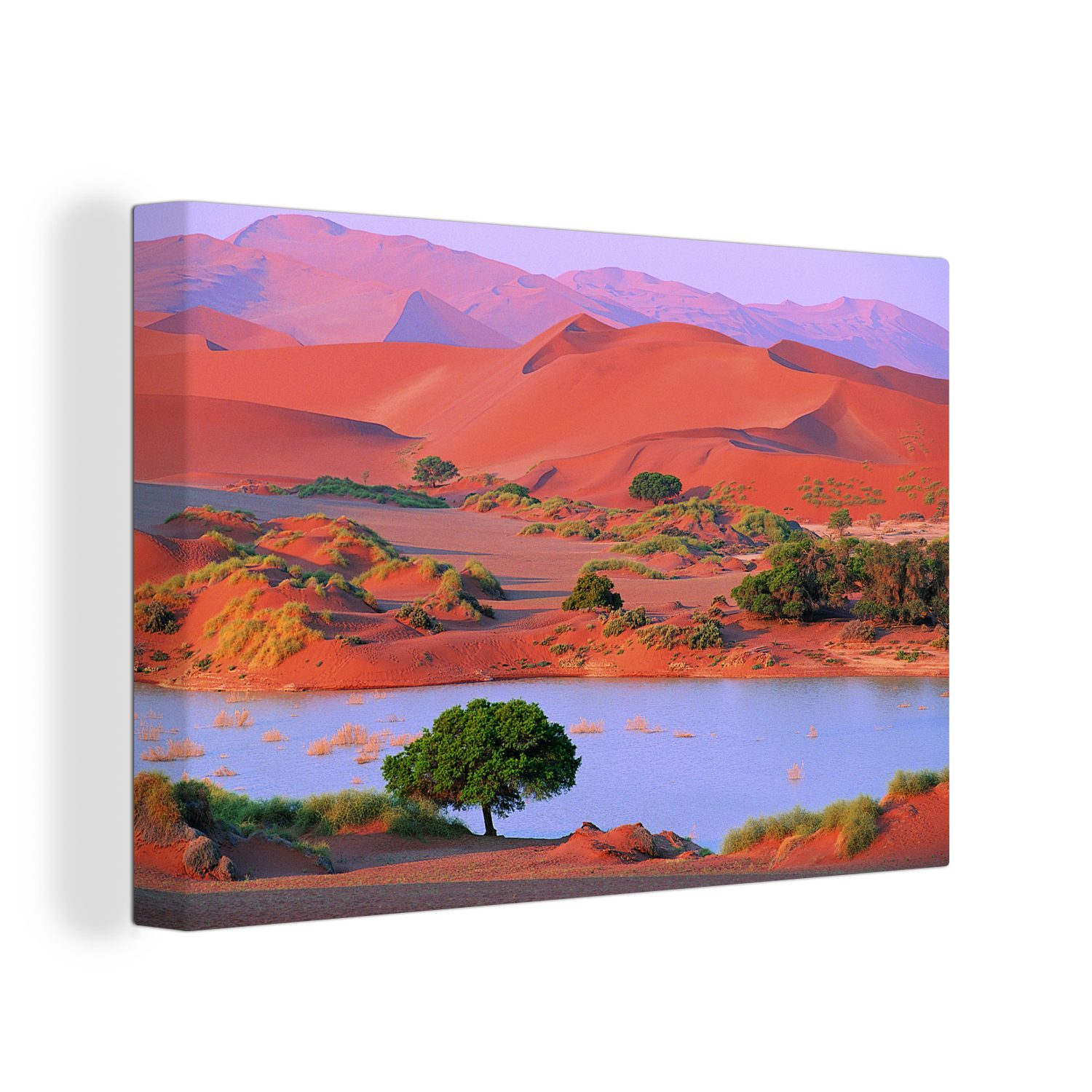afrikanischen cm Die (1 St), Wanddeko, Leinwandbild Wandbild Namibia, Namib-Wüste OneMillionCanvasses® Leinwandbilder, im Aufhängefertig, 30x20