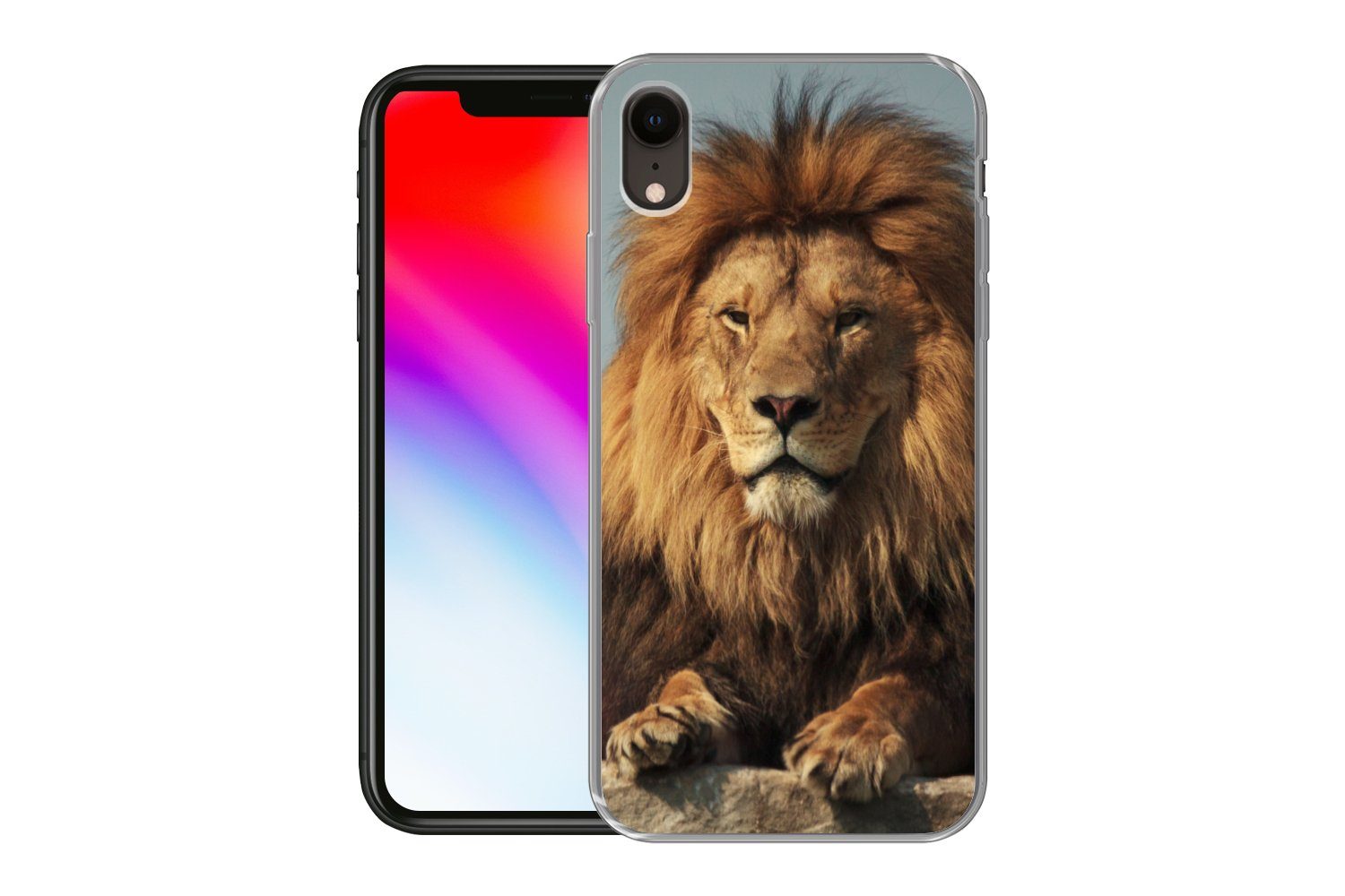 MuchoWow Handyhülle für Apple iPhone XR Löwe - Felsen - Porträt, Smartphone-Bumper, Print, Handy Schutzhülle Dünn