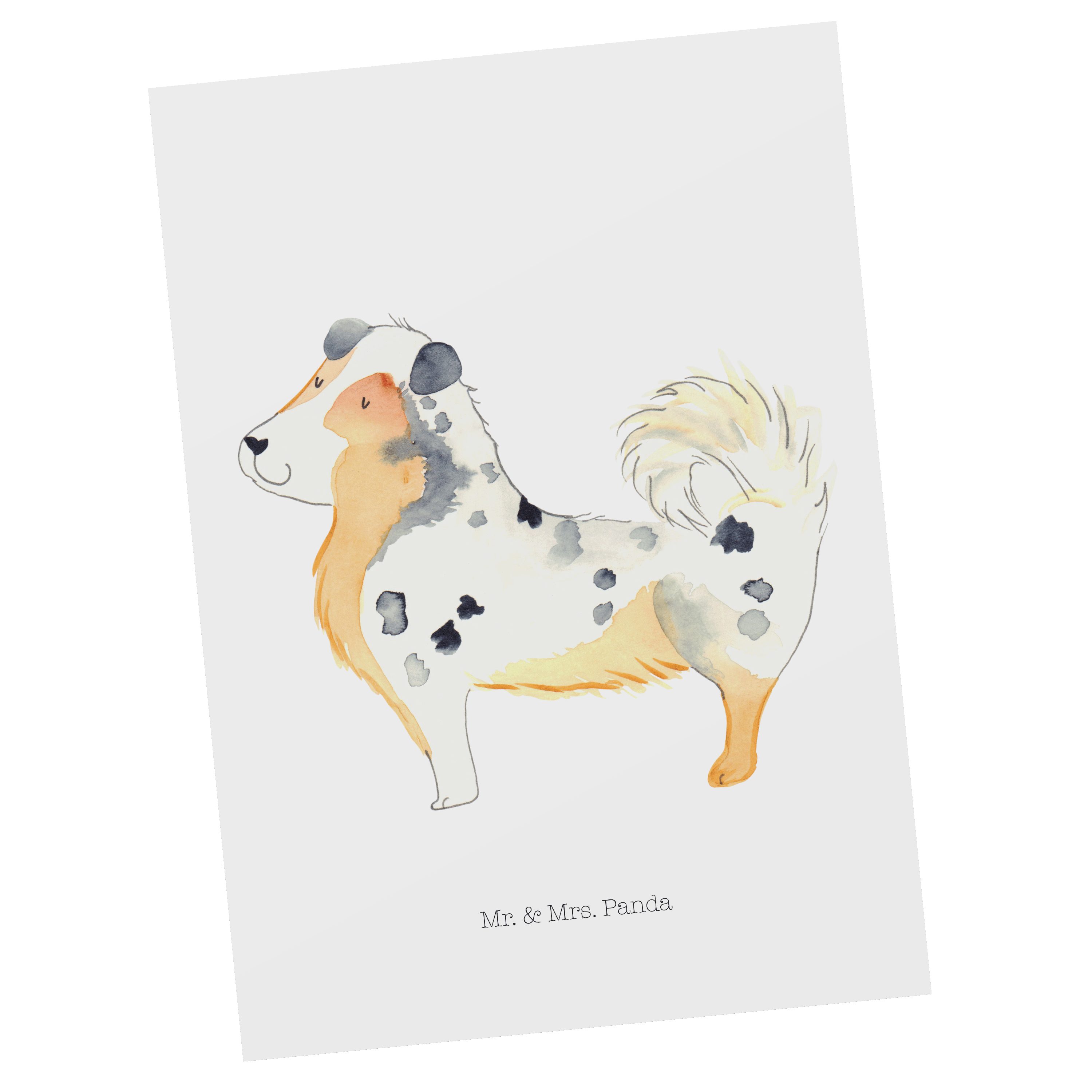 Mr. & Mrs. Panda Postkarte Australien Shepherd - Weiß - Geschenk, Familienhund, Hundemotiv, Gebu