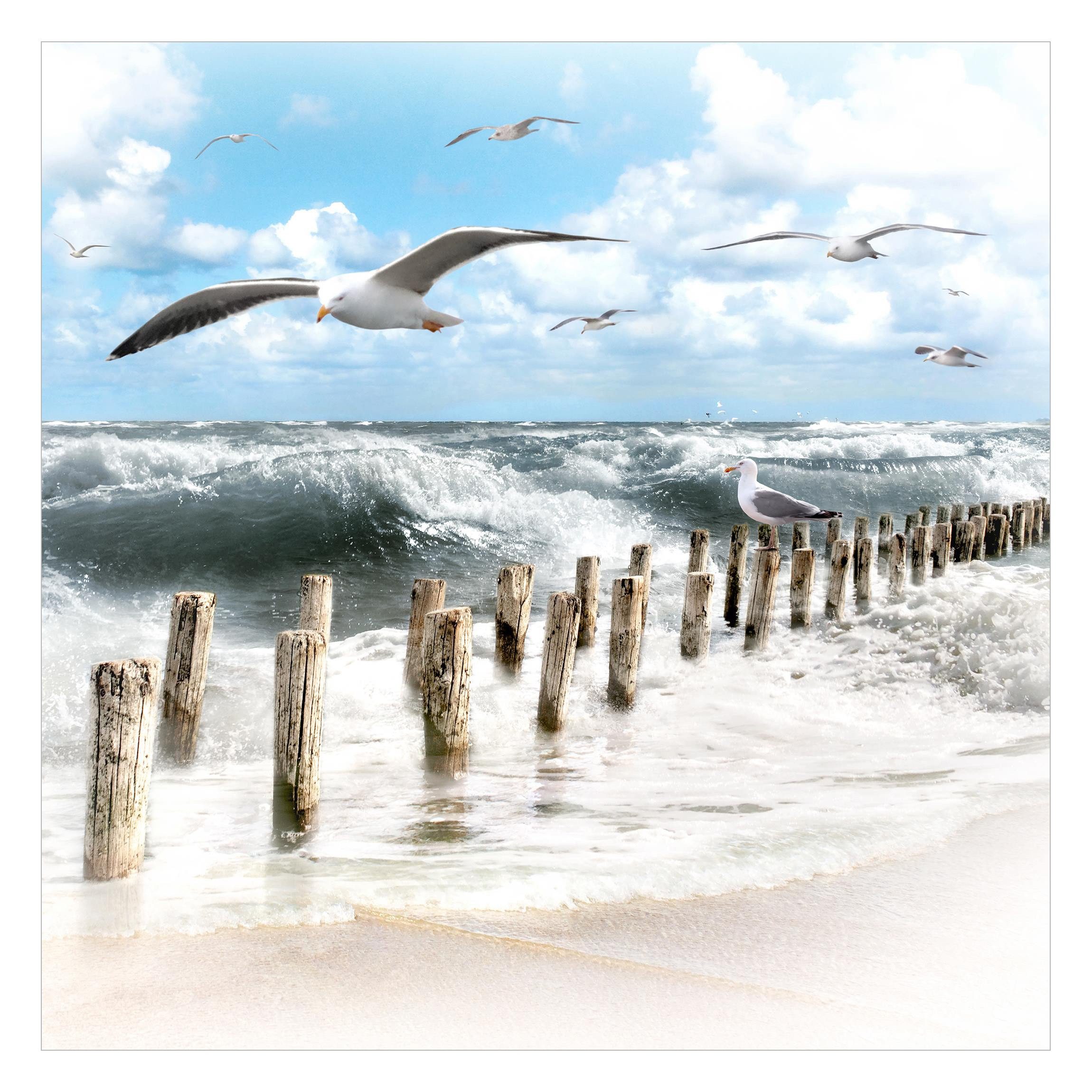 Bilderdepot24 Fototapete Strand & Meer Absolut Sylt Natur Landschaft Mariti günstig online kaufen