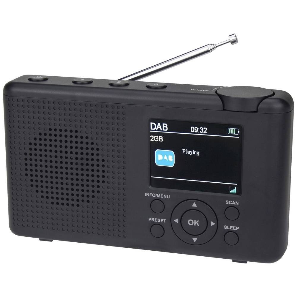 Reflexion Tragbares DAB-Radio mit Akku Reflexion TRA23DAB/GR Radio (wiederaufladbar)