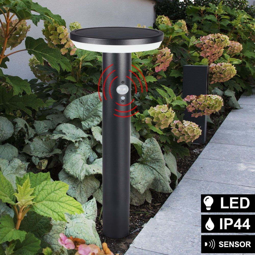 LED Solarleuchte, LED Außen Stecklampe Solarleuchte Down