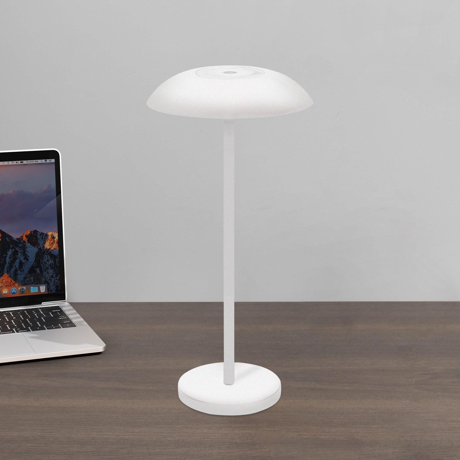 Elegear Tischleuchte LED Tischlampe, Tischleuchte Wiederaufladbar, günstig online kaufen