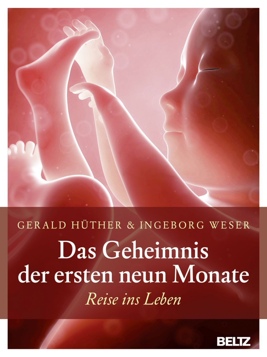 Das Geheimnis der ersten neun Monate / Gerald Hüther, Ingeborg Weser