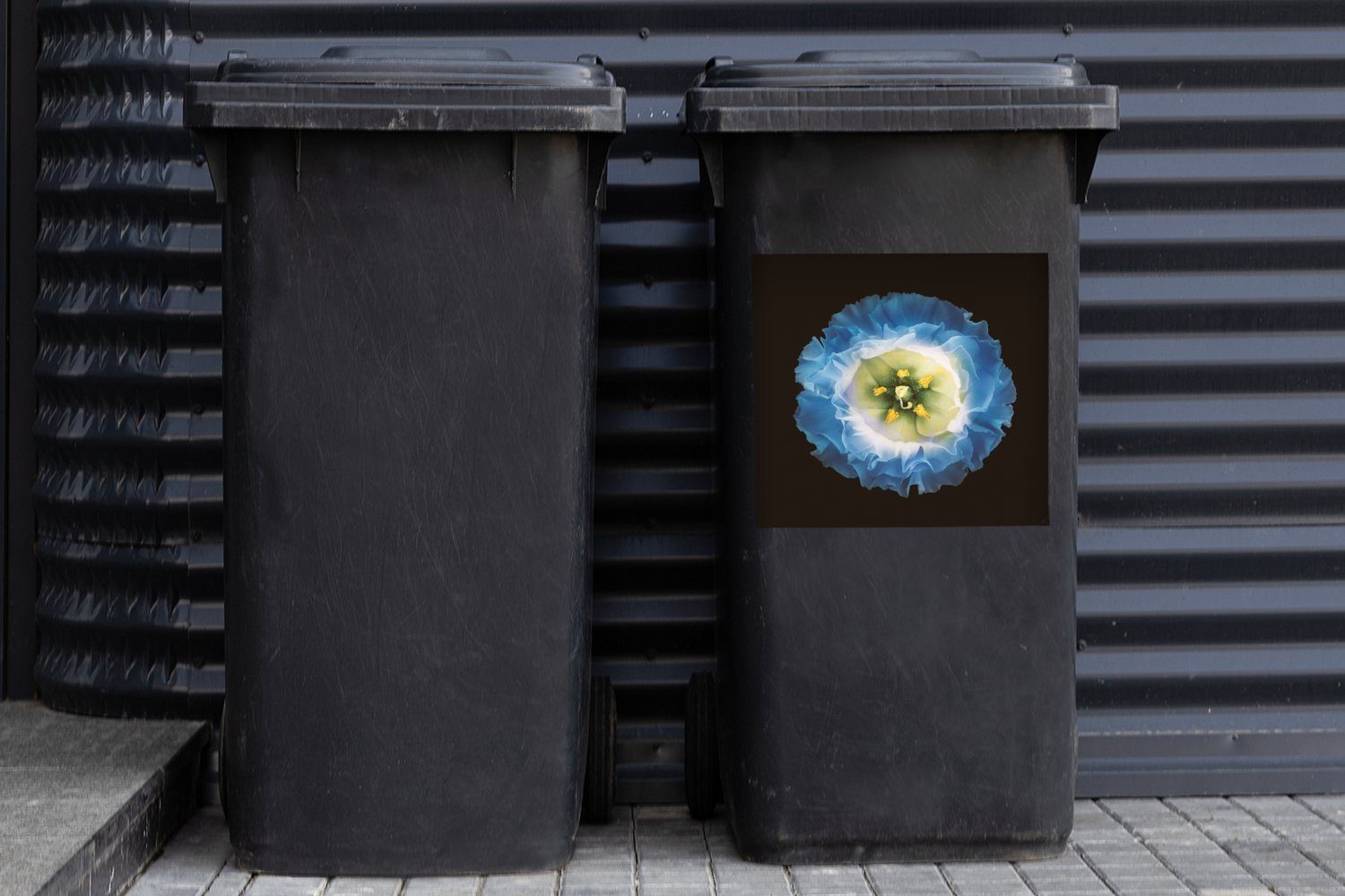 Hintergrund Blume Container, Nahaufnahme blauen (1 Mülleimer-aufkleber, Sticker, Mülltonne, Wandsticker St), auf Abfalbehälter MuchoWow schwarzem einer Eine