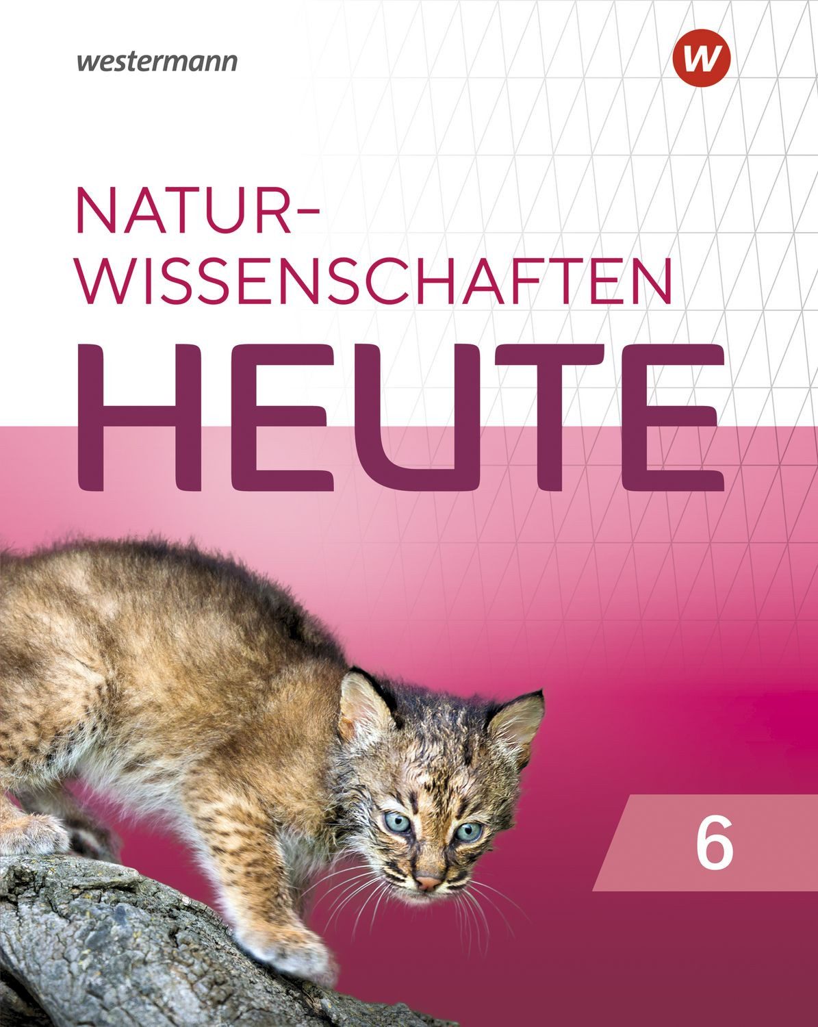 Naturwissenschaft heute - Ausgabe 2021 / diverse