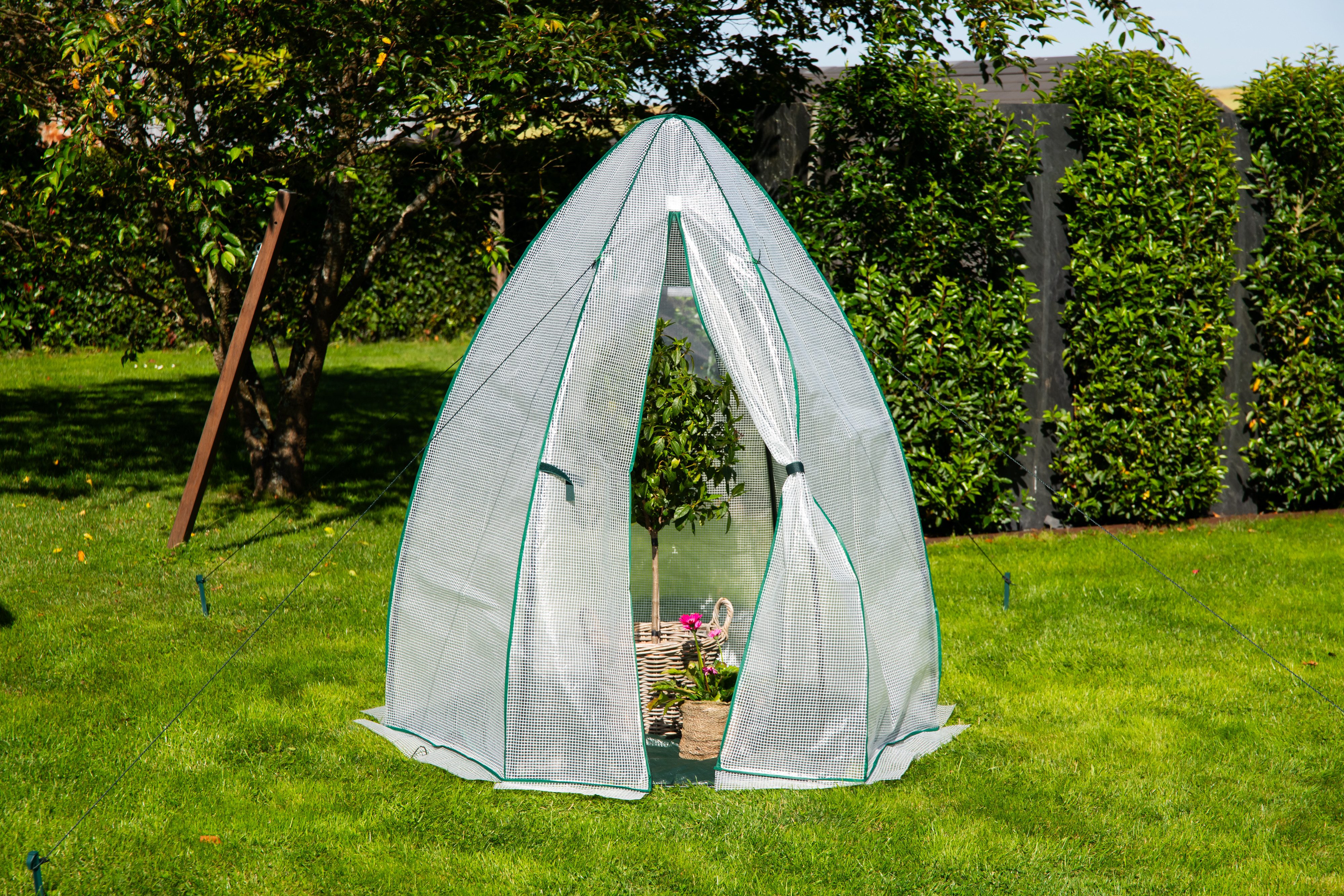 50NRTH Foliengewächshaus Olive, BxTxH: 160 x 160 x 183 cm, Überwinterungsze günstig online kaufen