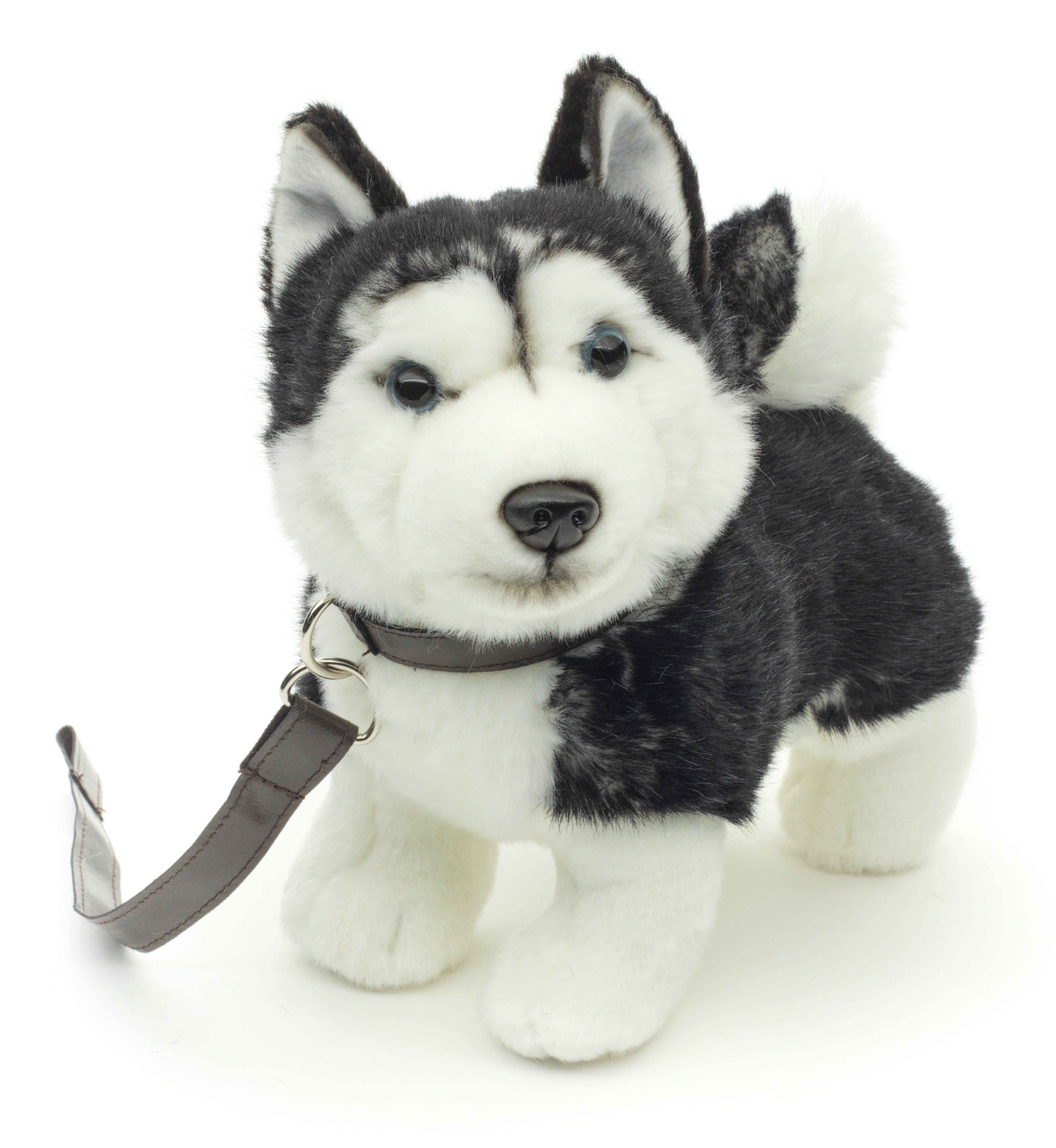 Kuscheltier Husky Welpe schwarz, stehend (mLeine), 24 cm - Plüsch-Hund, Plüschtier