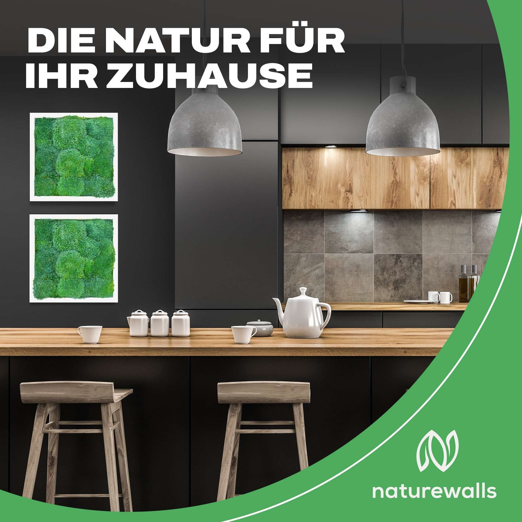 naturewalls Bild Moosbild - Vollholz-Rahmen Kugelmoos St), Wandbild, konserviert (1 Pflanzenbild - Weiß