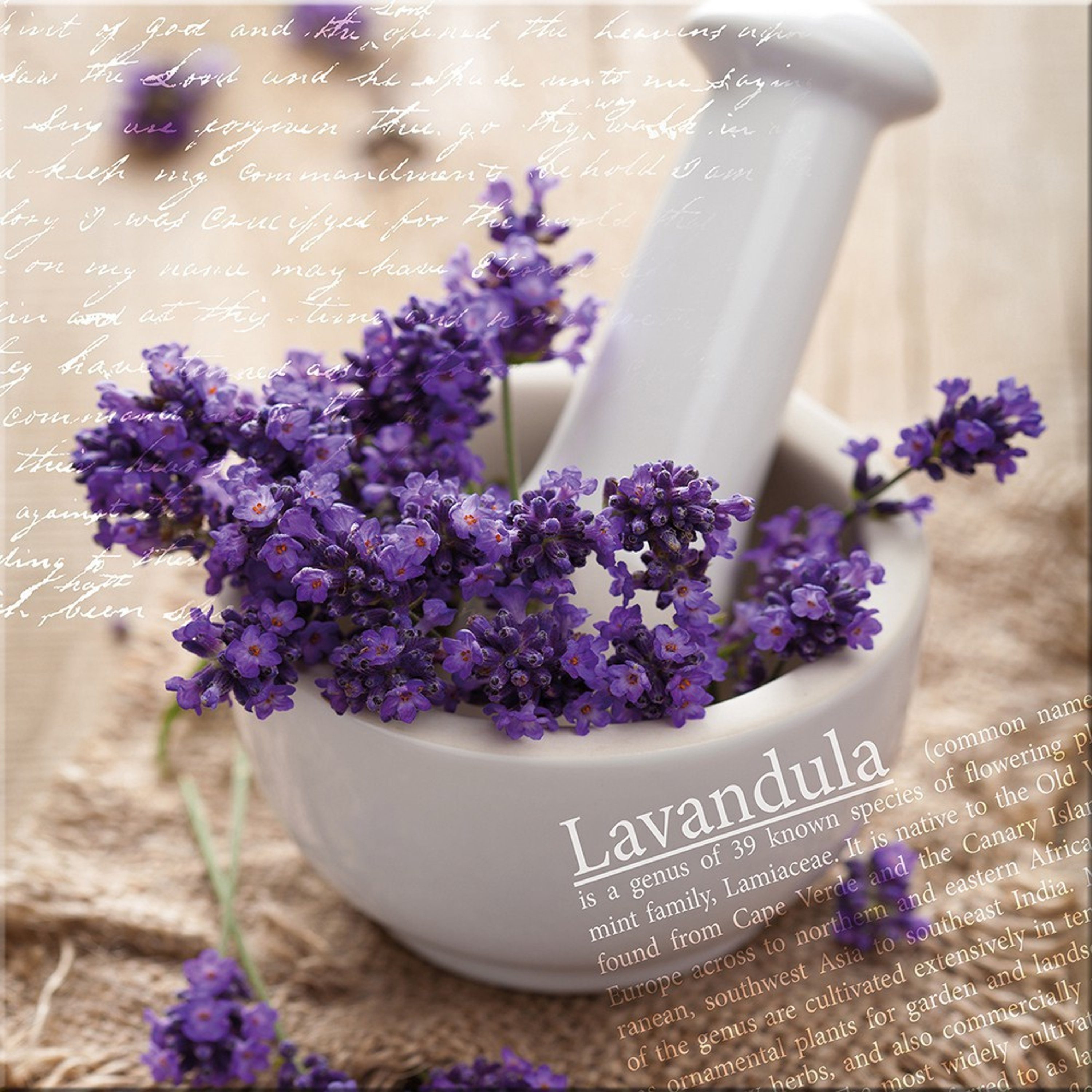 Glasbild Lavendel Wellness BIld Lavendel Spa: Glasbild artissimo 30x30cm lila, Blumen