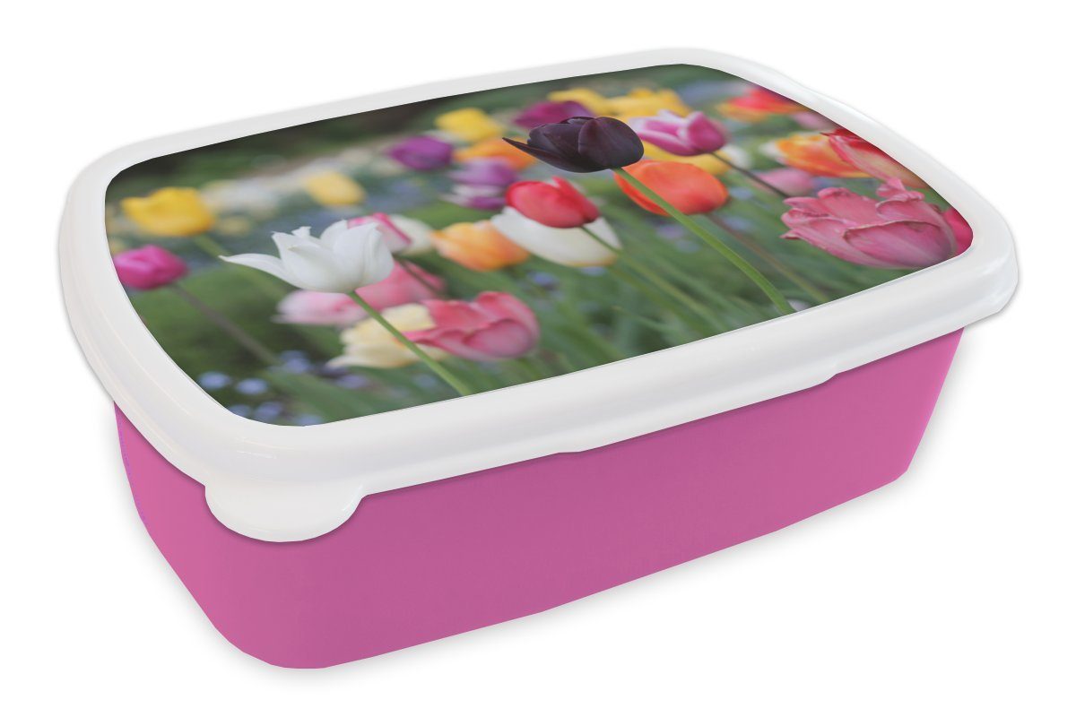 Ein Brotdose Brotbox Snackbox, Tulpen, für Mädchen, MuchoWow rosa Kunststoff, bunter voller Erwachsene, Kinder, Kunststoff Feld (2-tlg), Lunchbox