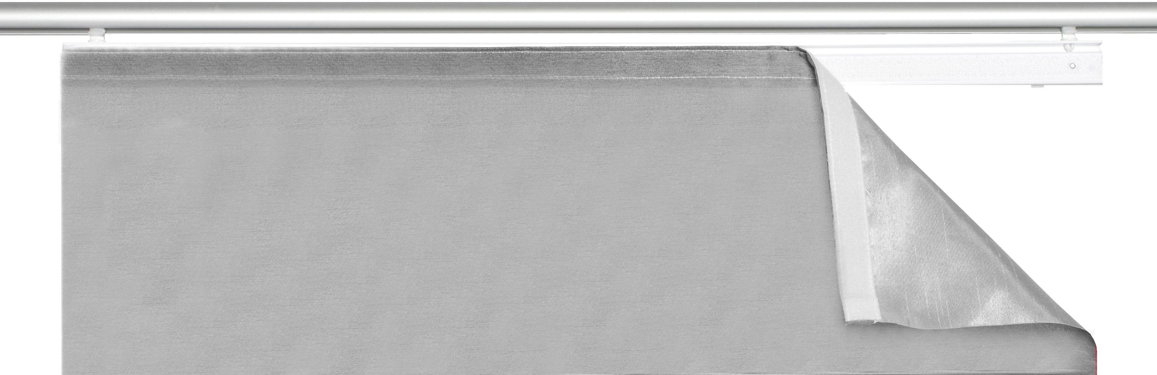HOME WOHNIDEEN Schiebegardine ROM (1 St), Paneelwagen, transparent, HxB: 245x60