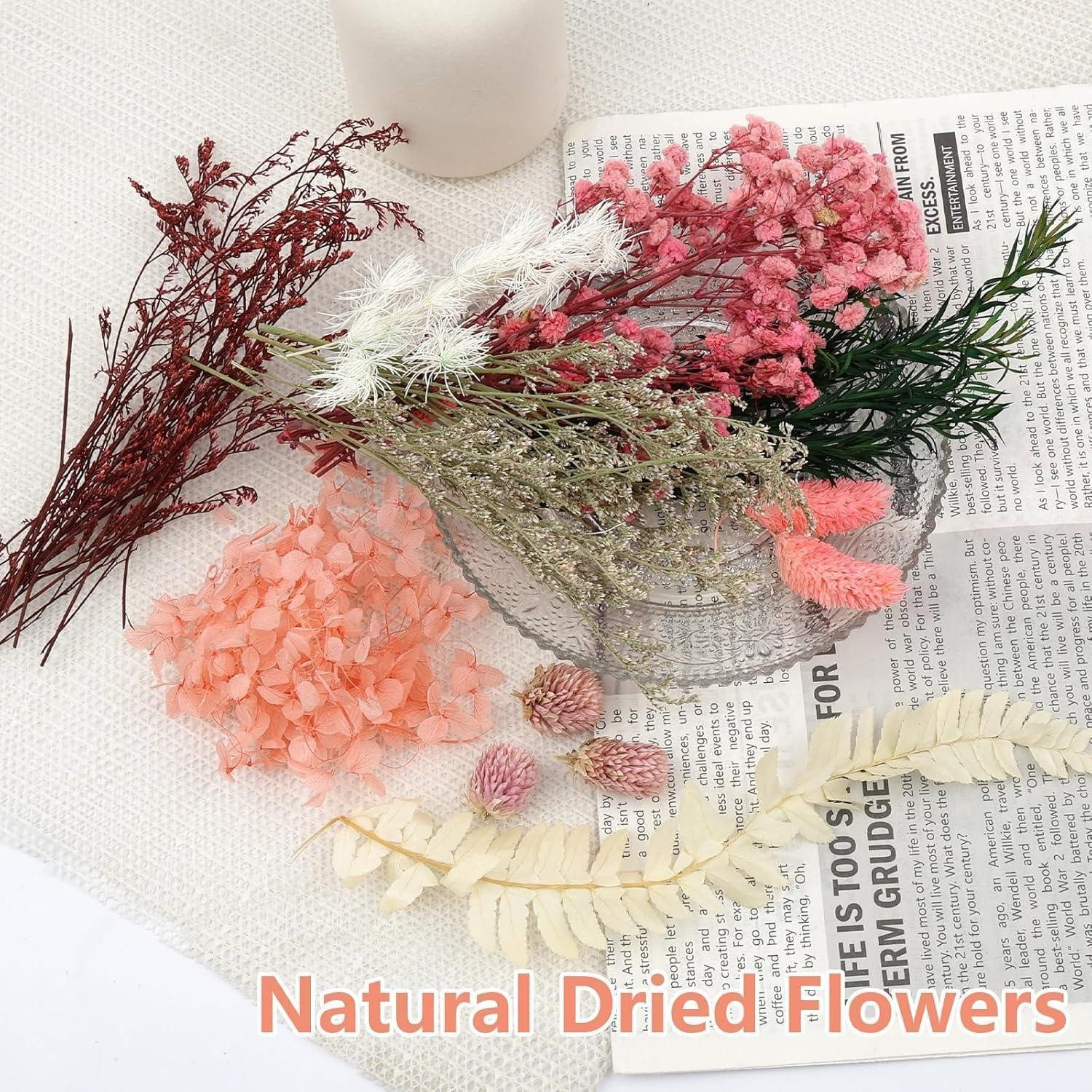 Trockenblume Trockenblumen DIY Epoxidharz Scrapbook Karten Rosa-grün, LuxusKollektion