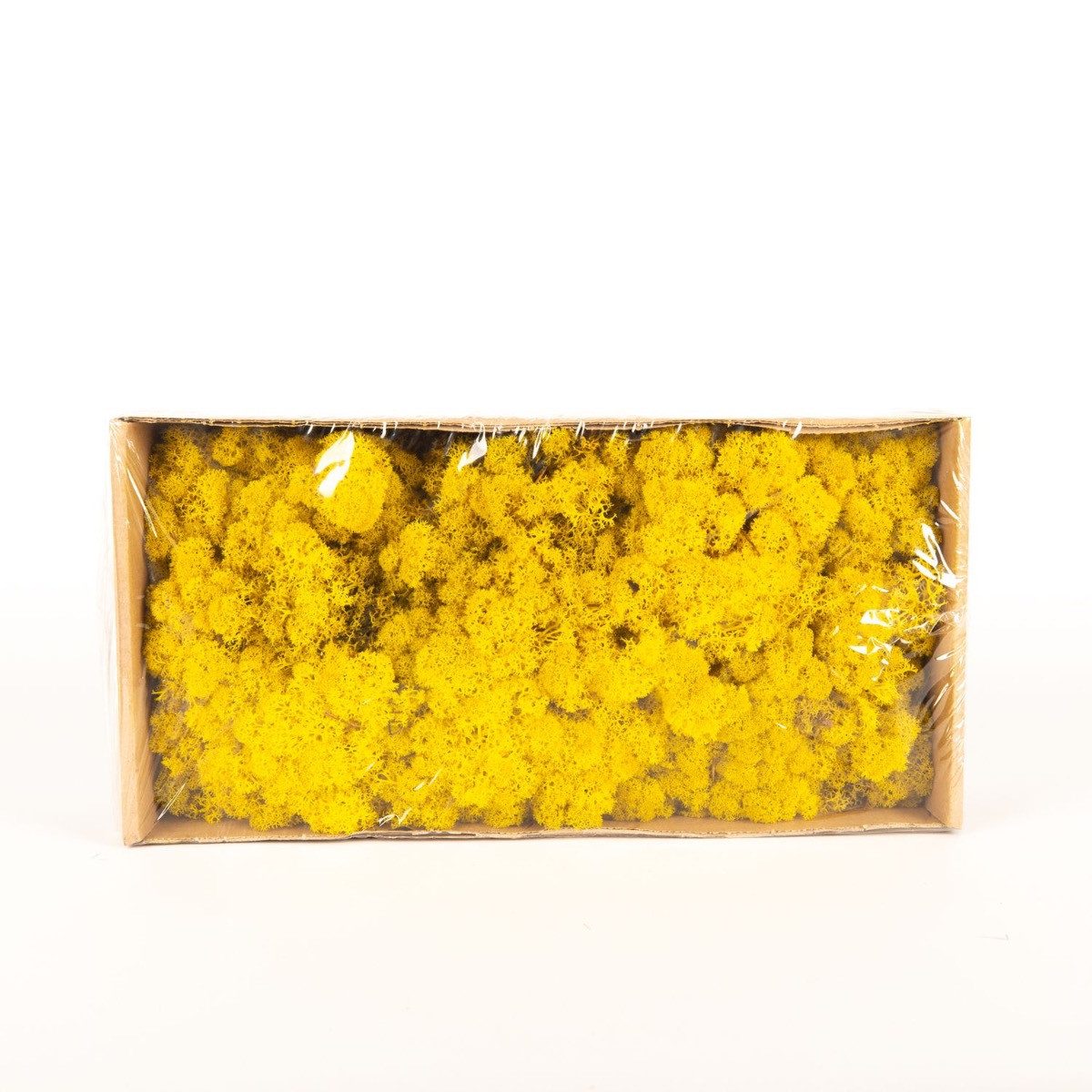INNA-Glas Moos Dekoratives Moos SVEINBJÖRN, zitronengelb, 500g