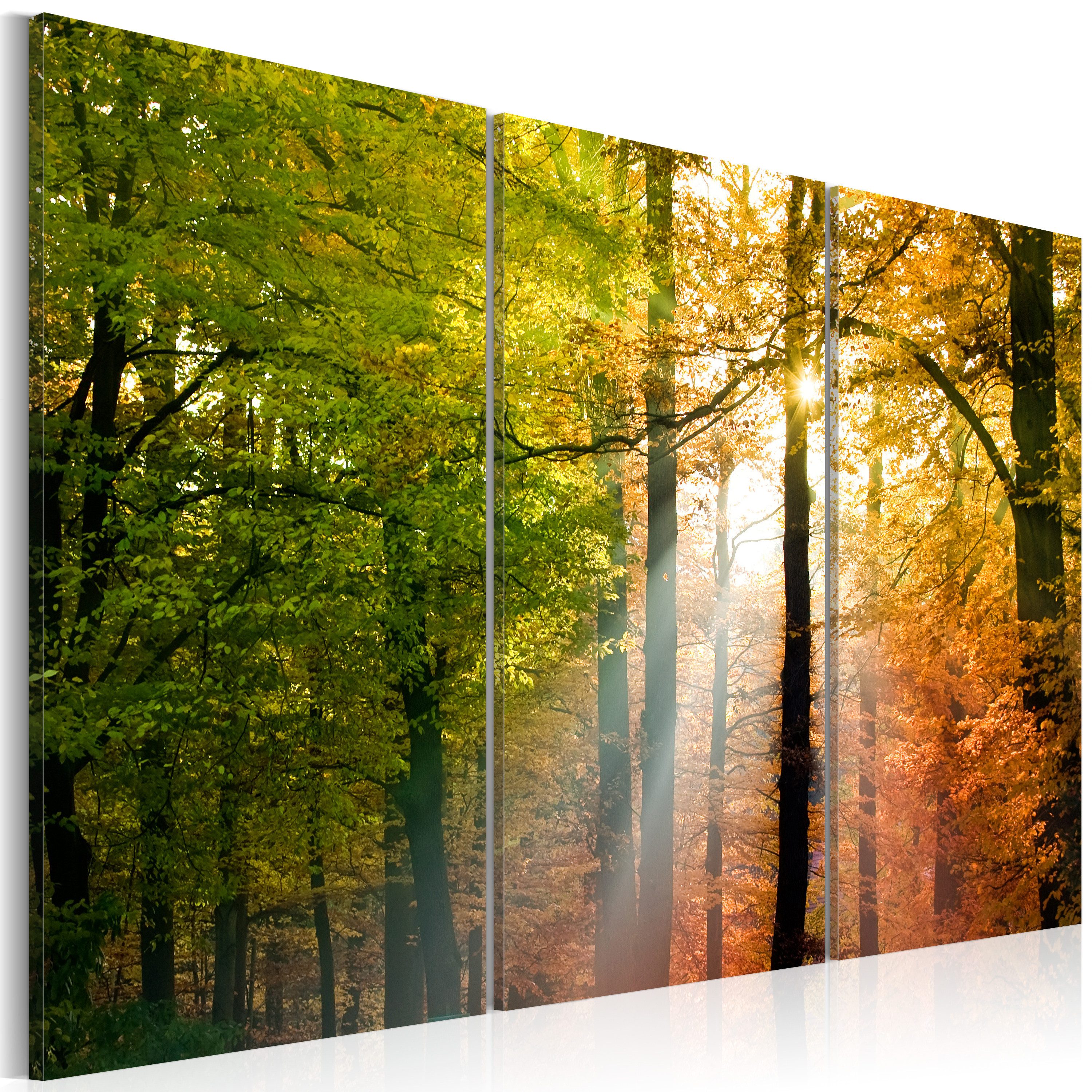 Artgeist Wandbild Freundlicher Herbstwald