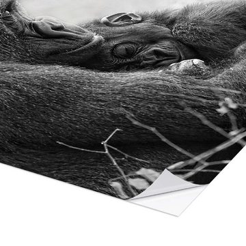 Posterlounge Wandfolie Holger Bücker (BuPix), Mutterliebe mit Baby Gorilla, Babyzimmer Fotografie